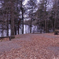 Flambeau River State Forest 90,147 acres of Elk hunting in Sawyer, WI images 3