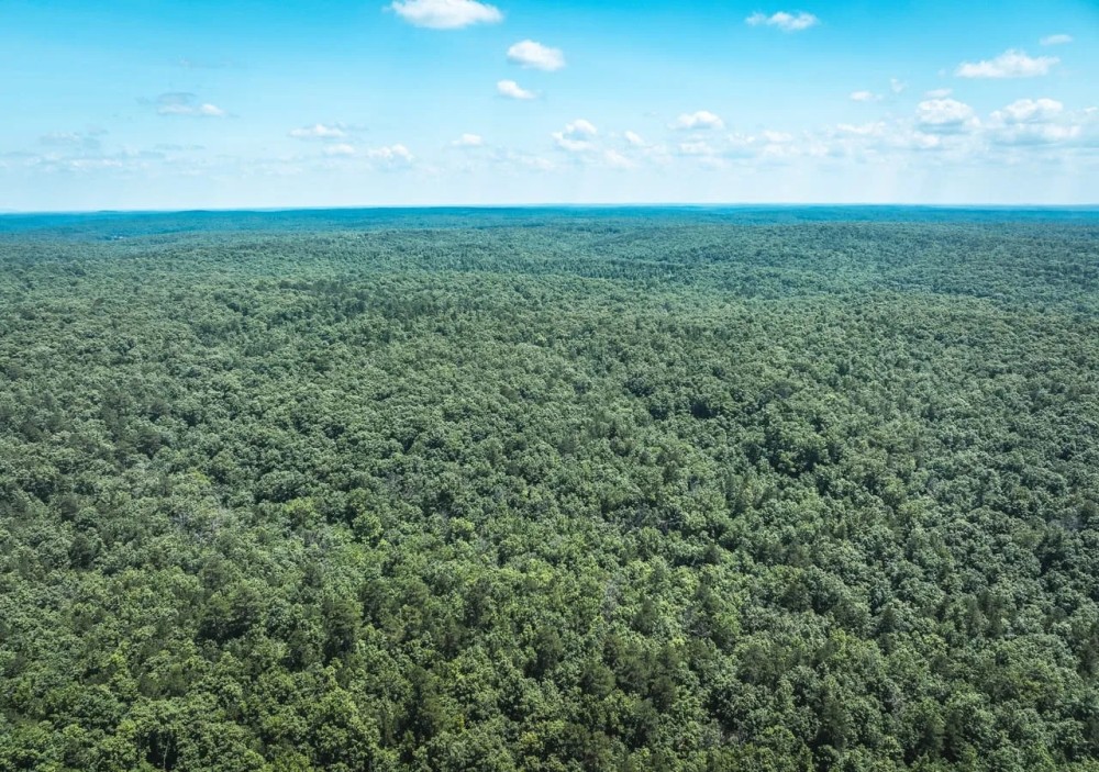 Land Timber 53 featured image