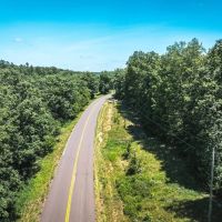 Land Timber 53 images 2