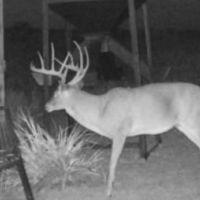 160 Acre Hunting Property Childress TX