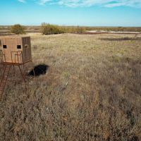 160 Acre Hunting Property Childress TX images 2