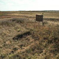 160 Acre Hunting Property Childress TX images 3