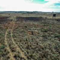 160 Acre Hunting Property Childress TX images 4