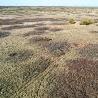 160 Acre Hunting Property Childress TX images 5