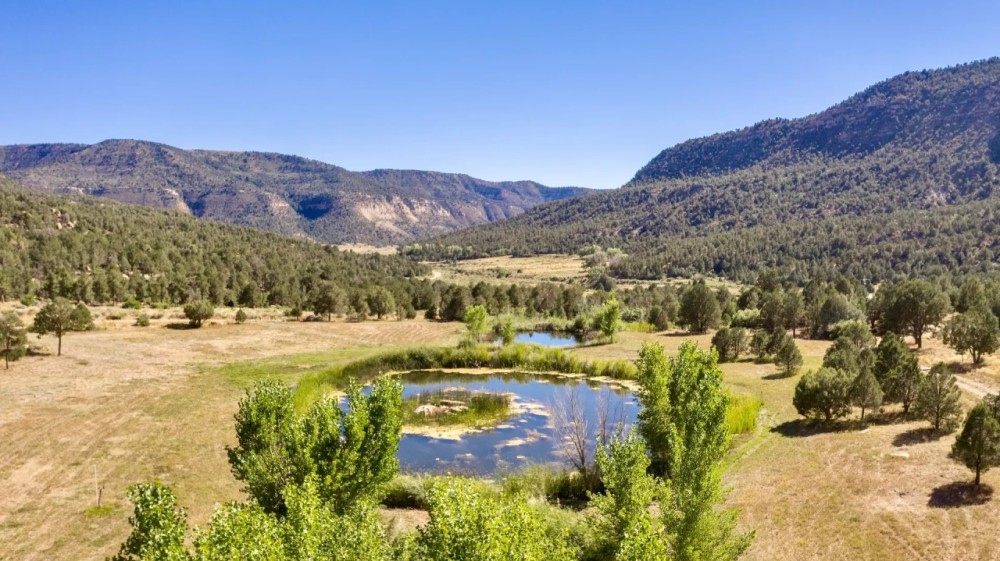 Weber Creek Ranch featured image