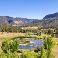 Weber Creek Ranch