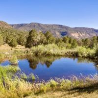 Weber Creek Ranch images 2