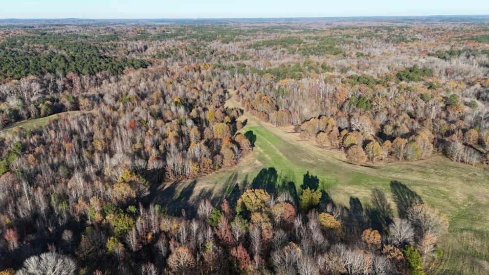 81.89 Acres in Benton County MS featured image