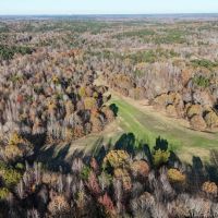81.89 Acres in Benton County MS