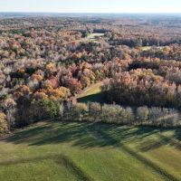 81.89 Acres in Benton County MS images 3