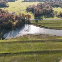 81.89 Acres in Benton County MS images 4