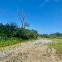 51 acres Magnolia Holmesville Road