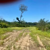 51 acres Magnolia Holmesville Road images 3