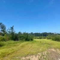 51 acres Magnolia Holmesville Road images 5