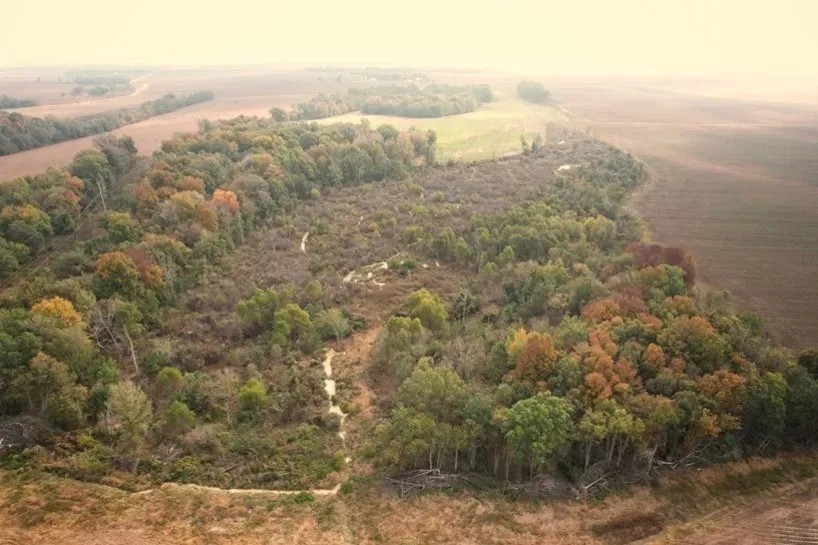 82 Acres in Sunflower County in Ruleville MS featured image