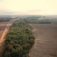 82 Acres in Sunflower County in Ruleville MS images 2
