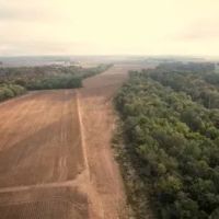 82 Acres in Sunflower County in Ruleville MS images 3
