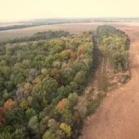 82 Acres in Sunflower County in Ruleville MS images 4