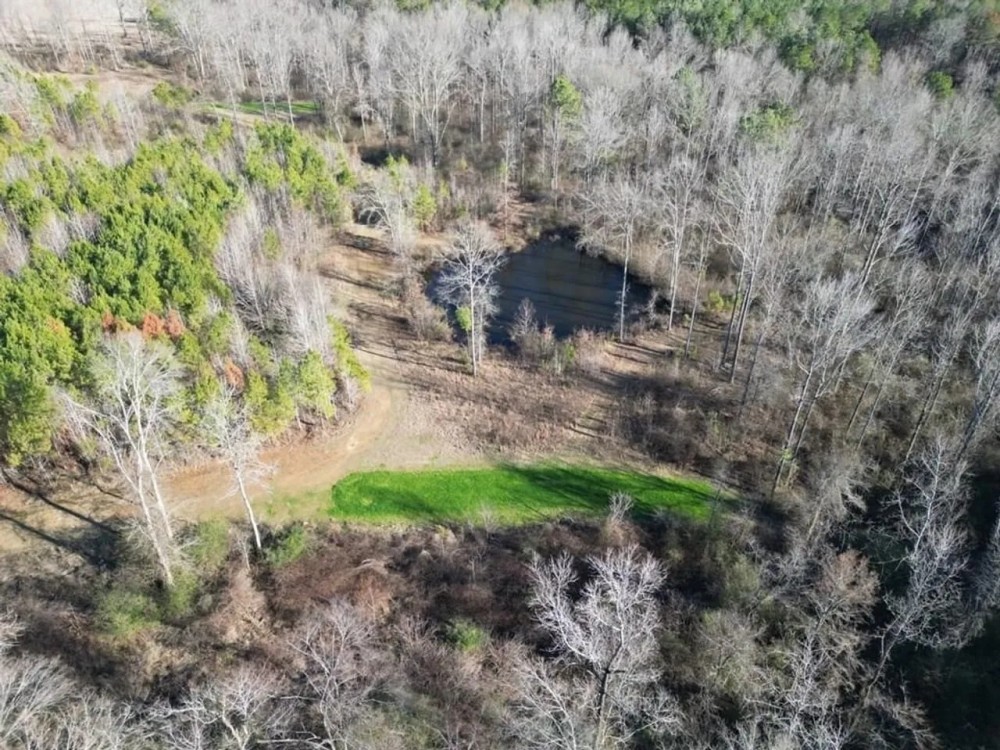 Diverse Hunting Tract in Jefferson County featured image