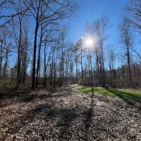 Diverse Hunting Tract in Jefferson County images 4