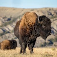 White River Ranch images 2