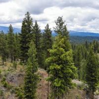 Warm Lake Recreation Land images 3