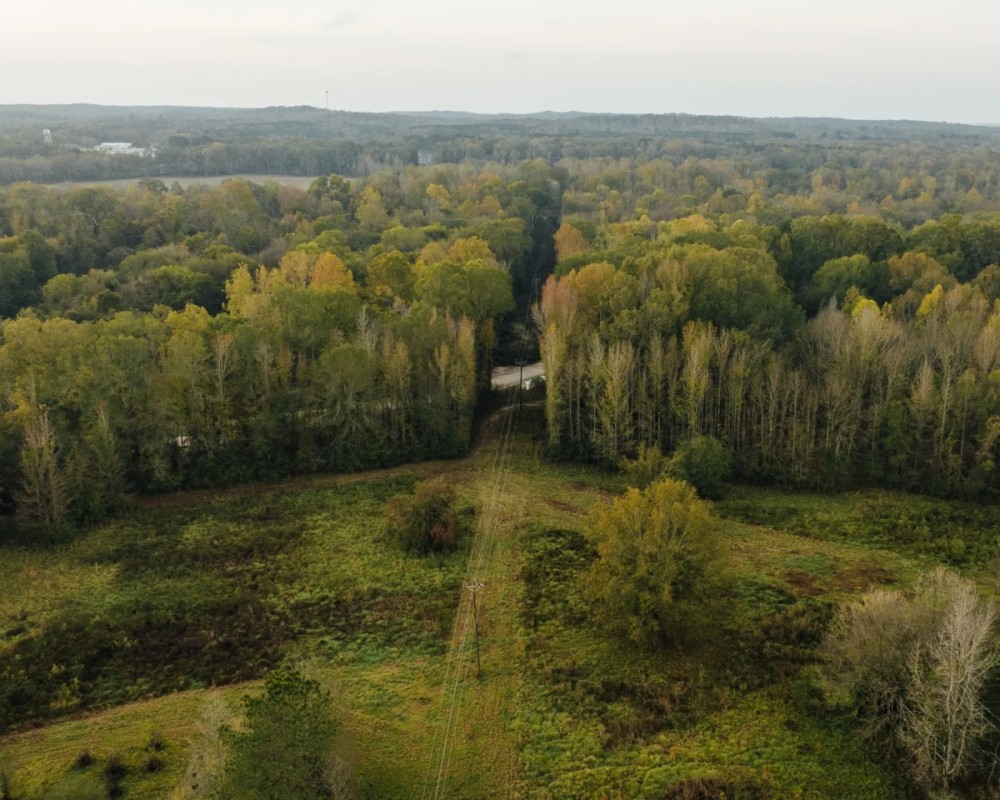 119.25 Acres in Hinds County MS featured image