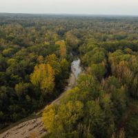 119.25 Acres in Hinds County MS images 3