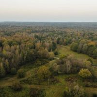 119.25 Acres in Hinds County MS images 4