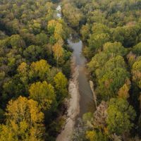 119.25 Acres in Hinds County MS images 5