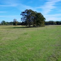 Idabel Ok 424 Acre Ranch w Hay Production images 4