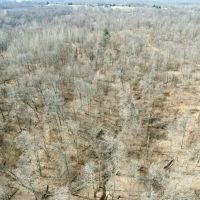 All wooded tract in Jackson Co. Illinois images 2