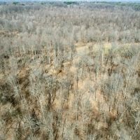 All wooded tract in Jackson Co. Illinois images 4