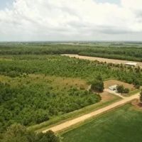 160 Acres with a Home in Sunflower County at 374 Fox Road in Shaw MS images 4