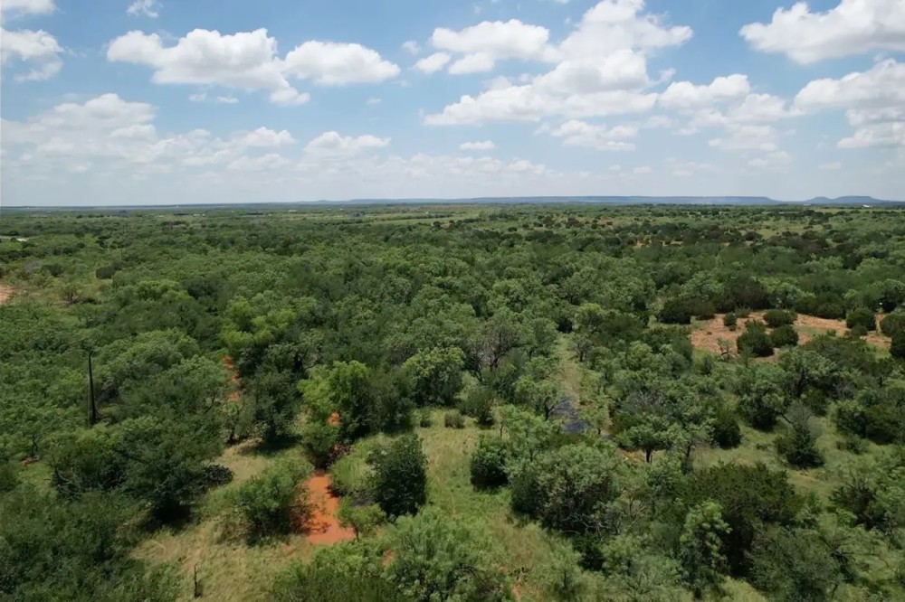 New Listing 9 - Acres Taylor County featured image