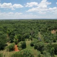 New Listing 9 - Acres Taylor County