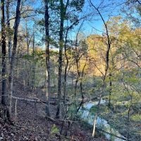 48 Acres in Webster County MS