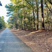 48 Acres in Webster County MS images 2