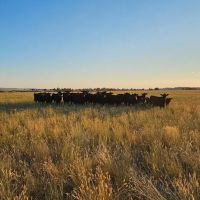Yellowstone Wildlife Refuge images 5