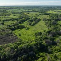 355-Acre Comanche Flats Ranch near Lockhart Texas images 3