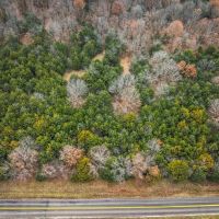 Dade County Acres images 3
