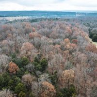 Dade County Acres images 5