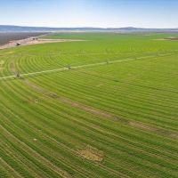 Dodge Ranch images 5