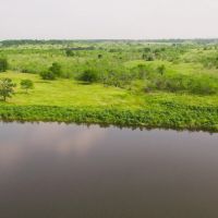 50 Acres in Milam COunty images 5