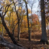 Dry Creek Ranch images 2