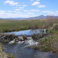 Willow Creek Ironside Ranch images 4