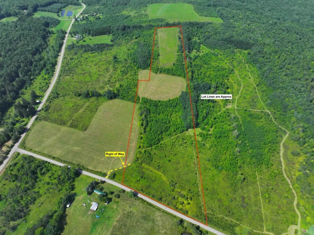 23.3 acres Hunting Land and Building Lot with Amazing Views in Friendship NY Maple Grove Rd Lot 9 featured image
