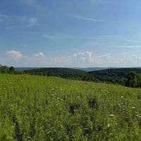 23.3 acres Hunting Land and Building Lot with Amazing Views in Friendship NY Maple Grove Rd Lot 9 images 4