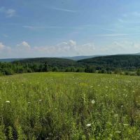 23.3 acres Hunting Land and Building Lot with Amazing Views in Friendship NY Maple Grove Rd Lot 9 images 5