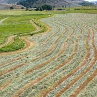 Phillips Creek Yampa Ranch images 4